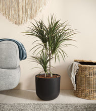 Load image into Gallery viewer, Stone Black