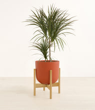 Load image into Gallery viewer, Earth Red stand:bamboo