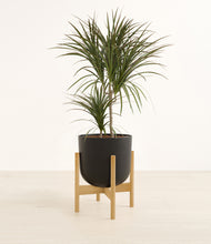 Load image into Gallery viewer, Stone Black stand:bamboo