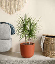 Load image into Gallery viewer, Earth Red