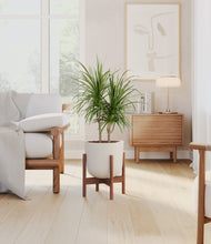 Load image into Gallery viewer, Natural Bamboo stand:walnut