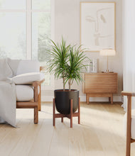 Load image into Gallery viewer, Stone Black stand:walnut