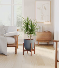 Load image into Gallery viewer, Iron Gray stand:walnut