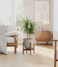 Load image into Gallery viewer, Sage Green stand:walnut