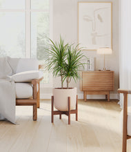 Load image into Gallery viewer, Sandy Pink stand:walnut