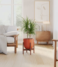 Load image into Gallery viewer, Earth Red stand:walnut