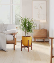 Load image into Gallery viewer, Sunset Orange stand:walnut