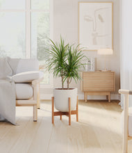 Load image into Gallery viewer, Natural Bamboo stand:bamboo