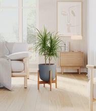 Load image into Gallery viewer, Iron Gray stand:bamboo