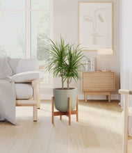 Load image into Gallery viewer, Sage Green stand:bamboo
