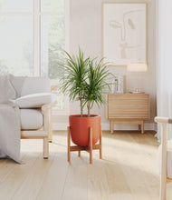 Load image into Gallery viewer, Earth Red stand:bamboo