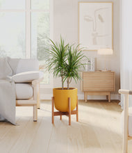 Load image into Gallery viewer, Sunset Orange stand:bamboo