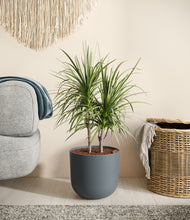 Load image into Gallery viewer, Iron Gray