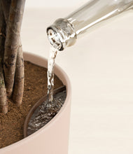 Load image into Gallery viewer, Sandy Pink stand:all