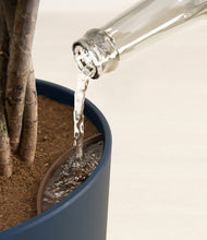 Load image into Gallery viewer, -