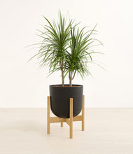 Load image into Gallery viewer, Stone Black stand:bamboo