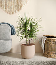 Load image into Gallery viewer, Sandy Pink