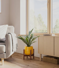 Load image into Gallery viewer, Mustard stand:walnut