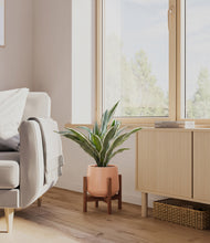 Load image into Gallery viewer, Calm Rose stand:walnut
