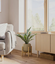 Load image into Gallery viewer, Olive stand:bamboo