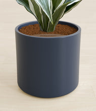 Load image into Gallery viewer, Deep Navy stand:all