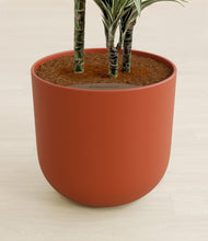 Load image into Gallery viewer, Earth Red stand:all