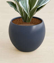 Load image into Gallery viewer, Deep Navy stand:all