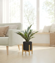 Load image into Gallery viewer, Black stand:bamboo