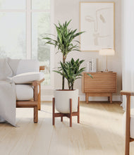 Load image into Gallery viewer, Natural Bamboo stand:dark