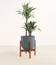 Load image into Gallery viewer, Iron Gray stand:dark