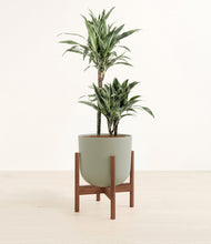 Load image into Gallery viewer, Sage Green stand:dark