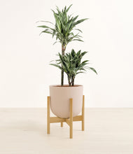 Load image into Gallery viewer, Sandy Pink stand:light