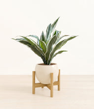 Load image into Gallery viewer, Shiny EggWhite stand:bamboo