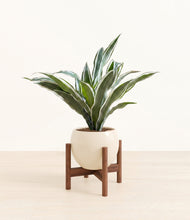 Load image into Gallery viewer, Shiny EggWhite stand:walnut