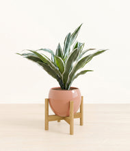 Load image into Gallery viewer, Calm Rose stand:bamboo