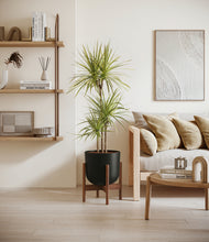 Load image into Gallery viewer, Stone Black stand:walnut