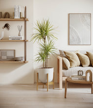 Load image into Gallery viewer, Natural Bamboo stand:bamboo