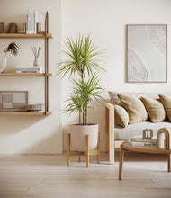 Load image into Gallery viewer, Sandy Pink stand:bamboo