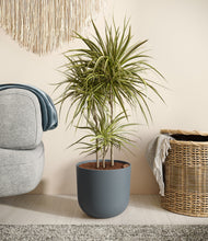 Load image into Gallery viewer, Iron Gray