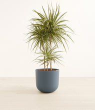 Load image into Gallery viewer, Iron Gray*****Profile