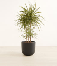 Load image into Gallery viewer, Stone Black*****Profile