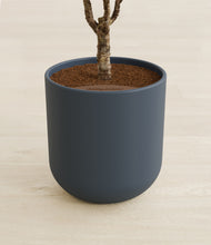 Load image into Gallery viewer, Iron Gray stand:all