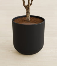 Load image into Gallery viewer, Stone Black stand:all