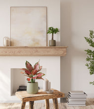 Load image into Gallery viewer, Woodland Hues