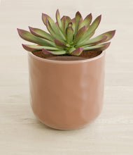 Load image into Gallery viewer, Hammered Peach Pink stand:all