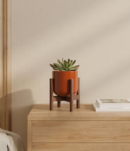 Load image into Gallery viewer, Glossy Red stand:walnut