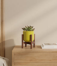 Load image into Gallery viewer, Key Lime Yellow stand:walnut