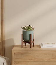 Load image into Gallery viewer, Reactive Aqua stand:walnut