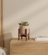 Load image into Gallery viewer, Sandy Pink stand:walnut