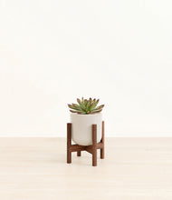 Load image into Gallery viewer, Snowdrift White stand:walnut
